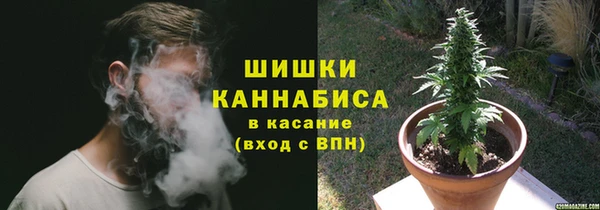 твердый Ладушкин