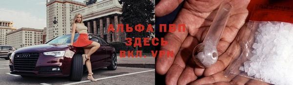 винт Арсеньев