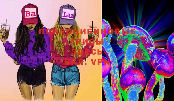 a pvp Аркадак