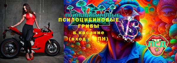 прущий лед Лагань
