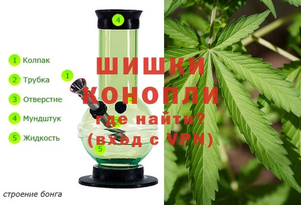 трава Лабытнанги